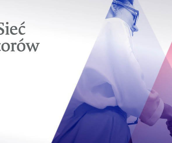 Header sieć mentorów